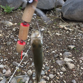 3連チマカマ（動画）の画像