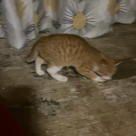 いっぱいあった金曜日の画像