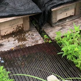 7/17 分割失敗の画像