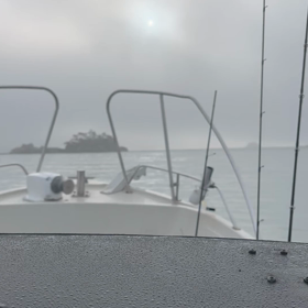 とりあえず出航❗️の画像