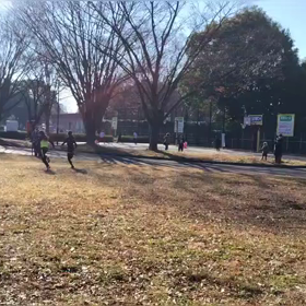 12/29 クロカンダッシュ③の画像