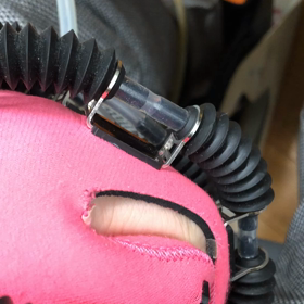 最新のリハビリの画像