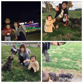 ノロウイルスの画像