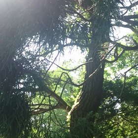 山上大神宮つづき❤の画像