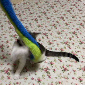 ヘビとの戦いの画像