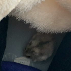 今日の投稿☆の画像