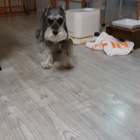 風邪から復活&ノリノリな末っ子ちゃんの画像