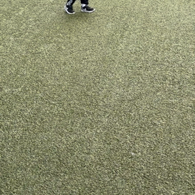 嬉しかった姿の画像