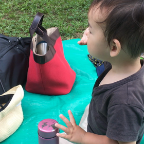 ◆【ベビーサイン】お出かけ中に○○を見つけた息子の動画です＾＾の画像