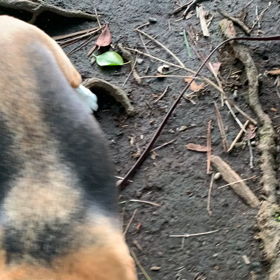 特訓始めました　の画像