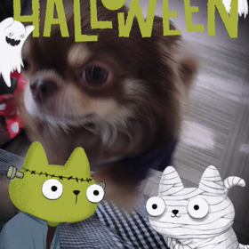 HAPPY HALLOWEENの画像