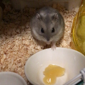 不覚にもの画像