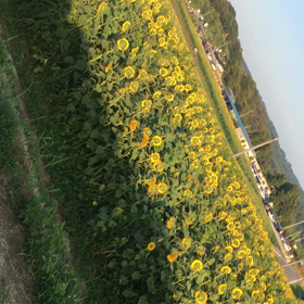 ☆いってきたぜぃ☆の画像