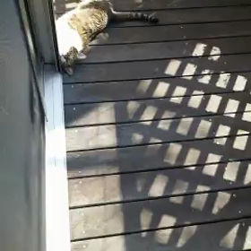 くねくねの画像