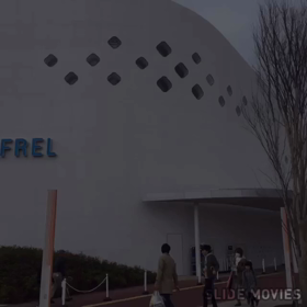 豪快にこけました•••。の画像