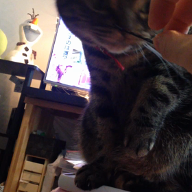 好きな顔の画像