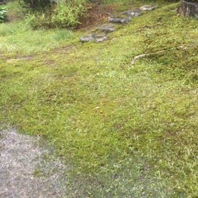物凄い雷雨の画像