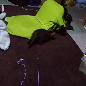 ？６月23日、の画像