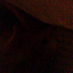 ウンチが出そうっ‼の画像