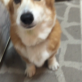 ホルモン治療50日目の画像