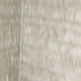 動画です！の画像