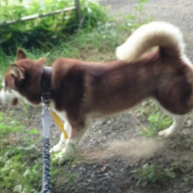 癖なの？の画像