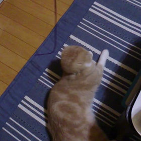 雷くんダンス☆の画像