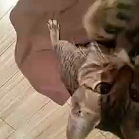 鈴遊び　②の画像