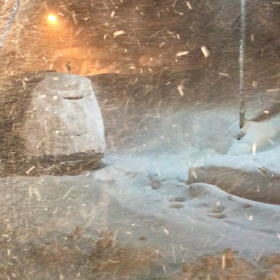 昨日から‼️の画像