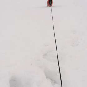 結局ココ。の画像