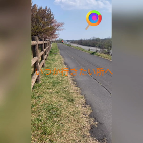 今楽しめることを探そう。の画像