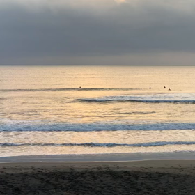 3月19日千葉北、東浪見の朝の波の画像