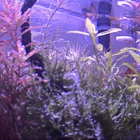 CO2ディフューザーの画像