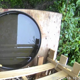 すぎぴたんの事件簿シーズン2　332話（ﾋﾟｺﾋﾟｺ！キセキレイ）の画像