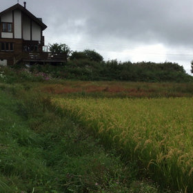 ぐるっと田んぼご案内の画像