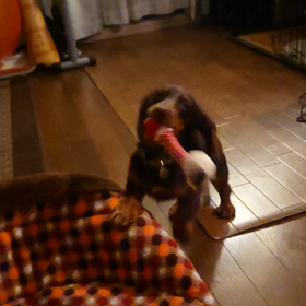 早朝から｡｡｡の画像