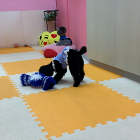 ★うごく皆★の画像