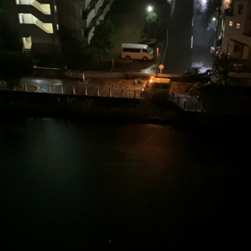 昨夜は…の画像