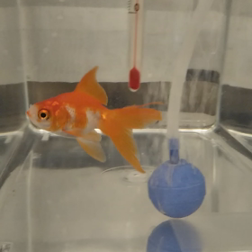 さんざんだったよ～の画像