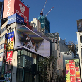 新宿の飛び出す巨大猫の画像