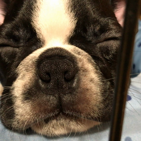 10日目。の画像