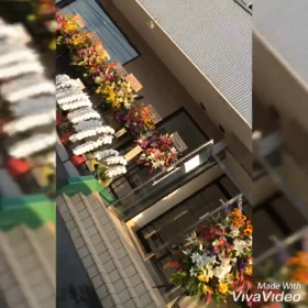 オープンから1週間の画像