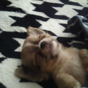 癒されるの画像