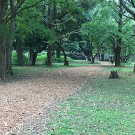 400mインターバル⑤の画像