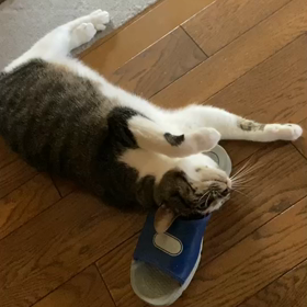 カラダであらわすの画像