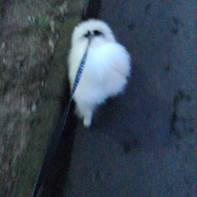 雨が通りすぎましたの画像