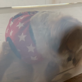 4月19日　ほりほりOKの画像