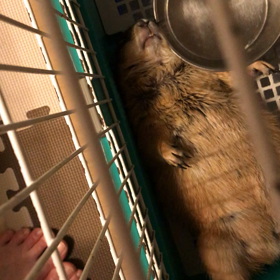 兄ちゃんもの画像