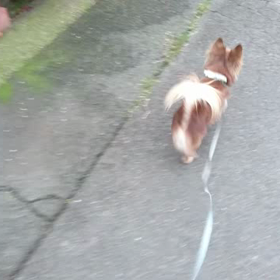 一応挨拶しとくかな。の画像