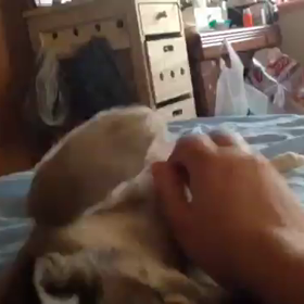 びびり王子胡太郎　その２の画像